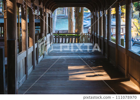 Cloth Bridge [Suwa Taisha Kamisha Main Shrine] 111078970