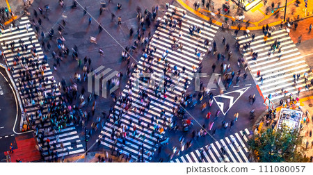 Aerial View of Shibuya, Tokyo, Japan Aerial View of Shibuya, Tokyo, Japan 111080057