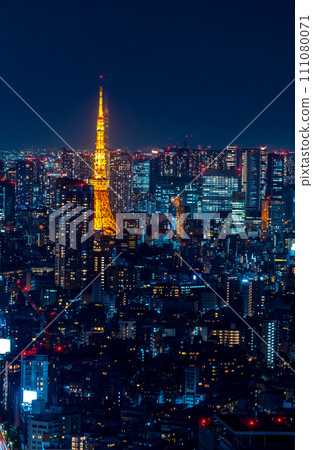 Skyscrapers in Minato, Tokyo, Japan 111080071