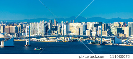 Odaiba and Tokyo Bay, Tokyo 111080073