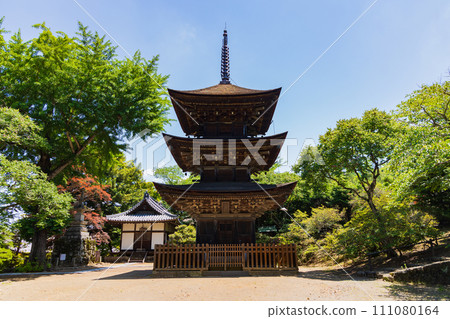 Early summer in Ueda City, Nagano Prefecture, fresh greenery at Maeyamaji Temple, three-storied pagoda 111080164