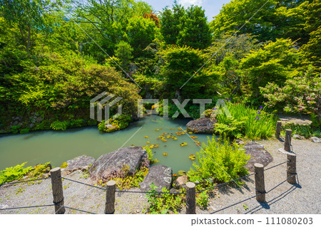 Early summer in Ueda City, Nagano Prefecture, fresh greenery at Maeyamaji Temple 111080203