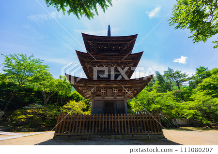 長野縣上田市的初夏，前山寺、三層寶塔的新綠 111080207