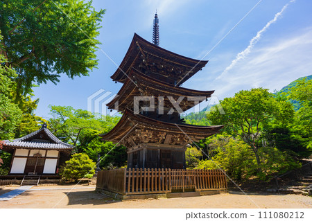 Early summer in Ueda City, Nagano Prefecture, fresh greenery at Maeyamaji Temple, three-storied pagoda 111080212