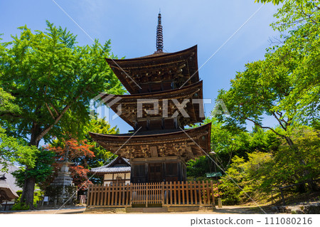 長野縣上田市的初夏,前山寺、三層寶塔的新綠 長野縣上田市的初夏,前山寺、三層寶塔的新綠 111080216
