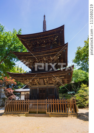 Early summer in Ueda City, Nagano Prefecture, fresh greenery at Maeyamaji Temple, three-storied pagoda 111080219