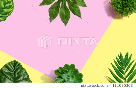 Tropical green leaves from above 111080308