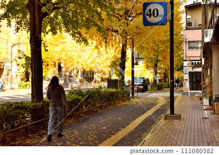 Ginkgo trees in the city center fill the sidewalks with yellow color Ginkgo trees in the city center fill the sidewalks with yellow color 111080382