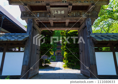Early summer in Ueda City, Nagano Prefecture, fresh greenery at Maeyamaji Temple, Yakui-mon Gate 111080633