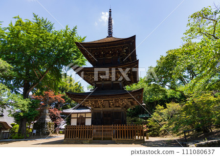 Early summer in Ueda City, Nagano Prefecture, fresh greenery at Maeyamaji Temple, three-storied pagoda 111080637