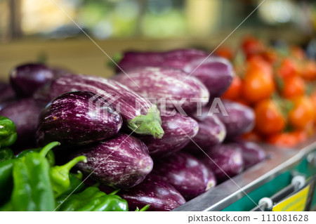 Heap of purple striped eggplants on vegetable counter 111081628