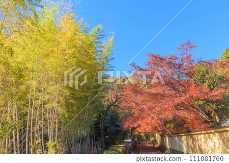 京都奧鹿野市的紅葉風景 京都奧鹿野市的紅葉風景 111081760