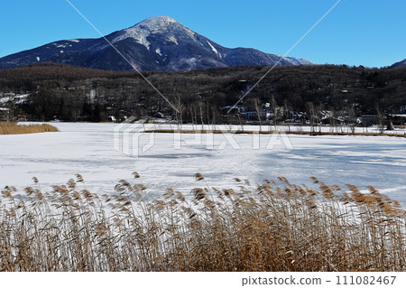 Snow scene 111082467