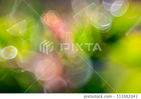 清晨陽光下閃耀的光環,美麗的自然形態 清晨陽光下閃耀的光環,美麗的自然形態 111082841
