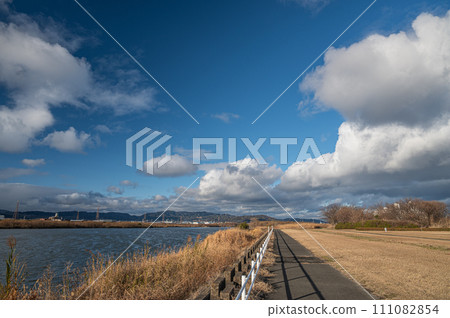 Winter-dead Yodogawa River Park, Hirakata City, Osaka Prefecture 111082854