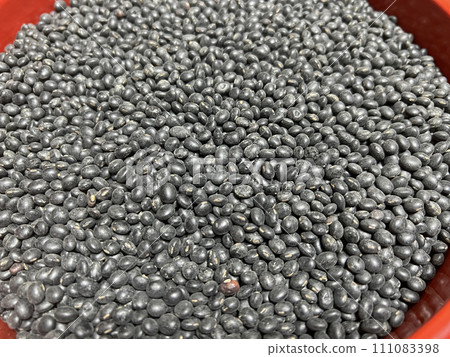 Photographing dried black beans Photographing dried black beans 111083398