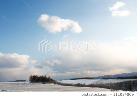 Snow field and blue sky sprinkled with snow melting agent 111084809