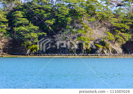 松島漁港,宮城縣東松島的一個小漁港 松島漁港,宮城縣東松島的一個小漁港 111085026