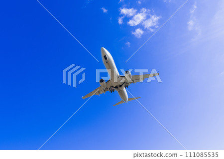 “飛機”波音波音 737-800 (737NG) 111085535