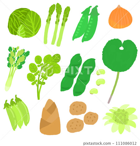 春天的蔬菜 111086012