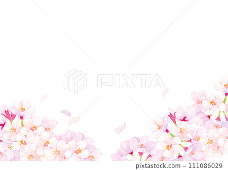 櫻花水彩背景圖 櫻花水彩背景圖 111086029