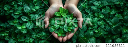 a person hands holding green leaves 111086811