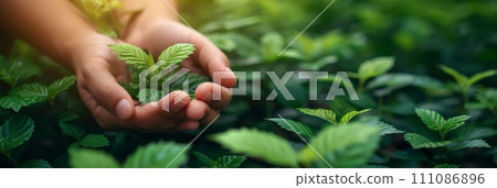 a person hands holding green leaves 111086896