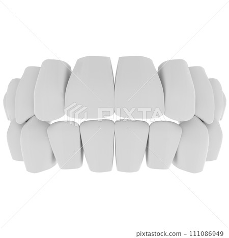 Teeth isolated on white background 111086949
