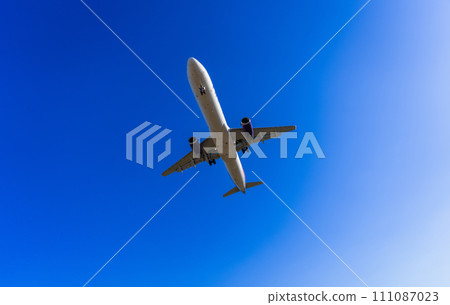 《Airplane》Airbus Airbus A320ceo Family A321 《Airplane》Airbus Airbus A320ceo Family A321 111087023