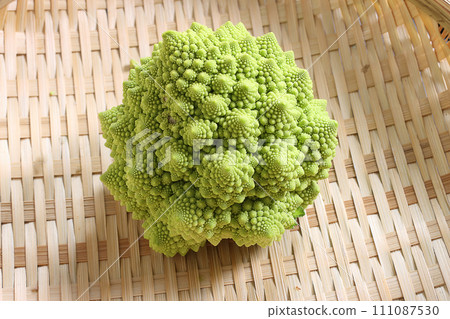 收穫前的羅馬花椰菜 收穫前的羅馬花椰菜 111087530