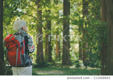 積極的高級 111088083