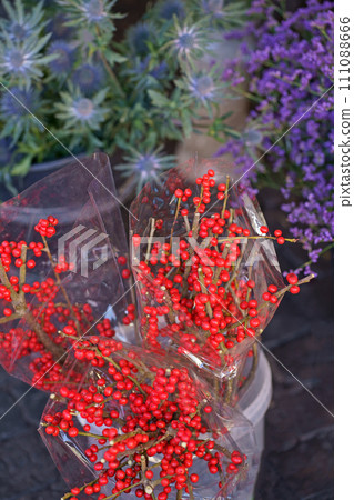 Showcase of a flower shop on a city street. Flower baskets with red berries, flowers on display in a store. Christmas decorations. Showcase of a flower shop on a city street. Flower baskets with red berries, flowers on display in a store. Christmas decorations. 111088666