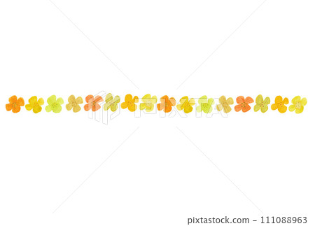 以透明水彩繪製的 8 朵水平排列的迷你油菜花插圖 111088963