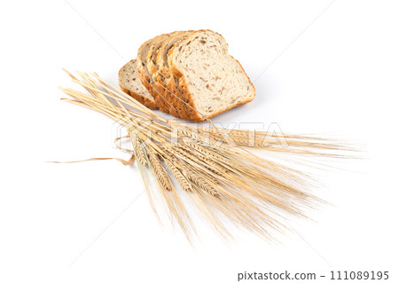 fresh bread and wheat on white 111089195