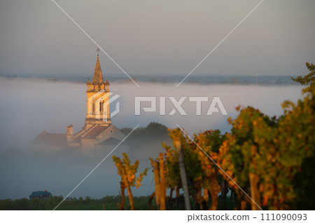 Sunset landscape and smog in bordeaux wineyard, Loupiac church, France, Europe Sunset landscape and smog in bordeaux wineyard, Loupiac church, France, Europe 111090093
