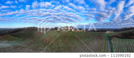 FRANCE, GIRONDE, PORTE DE BENAUGE, BENAUGE CASTLE AND ITS VINEYARDS IN WINTER, AOC CADILLAC COTES DE FRANCE, GIRONDE, PORTE DE BENAUGE, BENAUGE CASTLE AND ITS VINEYARDS IN WINTER, AOC CADILLAC COTES DE 111090192