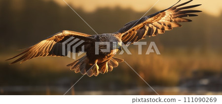 Majestic Bald Eagle Soaring Over a Vast Lake Majestic Bald Eagle Soaring Over a Vast Lake 111090269
