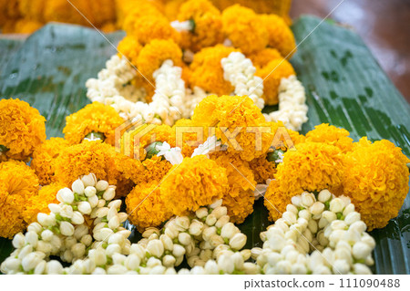 Marigold flowers made into garlands for prayers and worship. Marigold flowers made into garlands for prayers and worship. 111090488