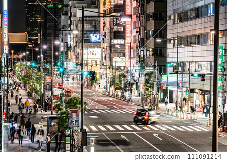 [東京] 市中心的夜景 111091214