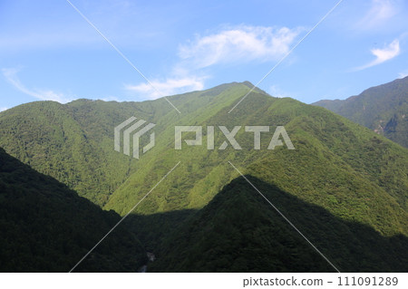 Tokushima Iyakeki Tokushima Iyakeki 111091289