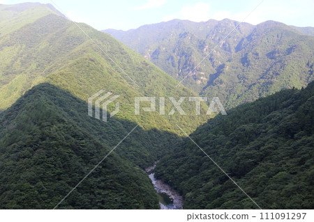 德島Iyakeki 111091297