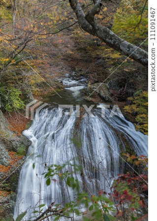 Japan: Sekizan Otaki and autumn leaves trees in Sekiyama, Higashine City, Yamagata Prefecture Japan: Sekizan Otaki and autumn leaves trees in Sekiyama, Higashine City, Yamagata Prefecture 111091467
