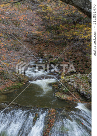 日本：山形縣東根市關山的關山大瀧和秋葉樹 111091470