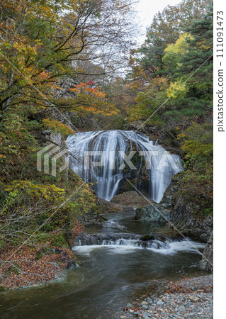 Japan: Sekizan Otaki and autumn leaves trees in Sekiyama, Higashine City, Yamagata Prefecture Japan: Sekizan Otaki and autumn leaves trees in Sekiyama, Higashine City, Yamagata Prefecture 111091473