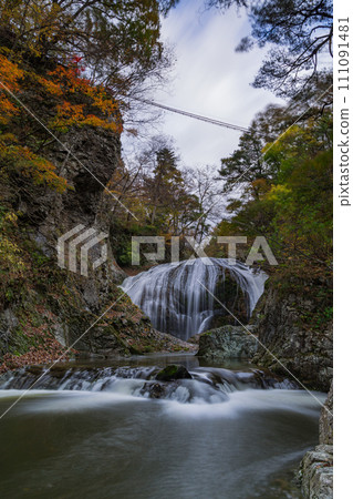 日本：山形縣東根市關山的關山大瀧和秋葉樹 111091481