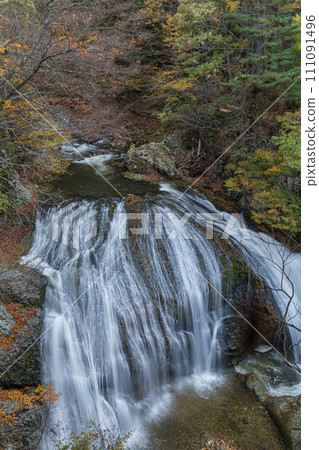 日本:山形縣東根市關山的關山大瀧和秋葉樹 日本:山形縣東根市關山的關山大瀧和秋葉樹 111091496