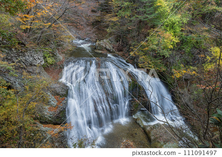 日本:山形縣東根市關山的關山大瀧和秋葉樹 日本:山形縣東根市關山的關山大瀧和秋葉樹 111091497