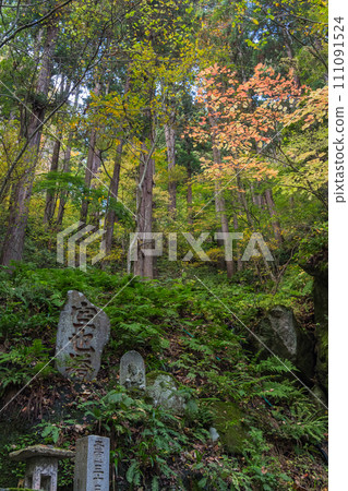 日本山形縣山形市立石寺(俗稱山寺)山路上的風景與秋葉 日本山形縣山形市立石寺(俗稱山寺)山路上的風景與秋葉 111091524