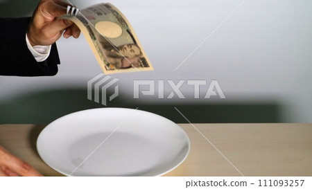 Image of a person having a luxurious meal Image of a person having a luxurious meal 111093257