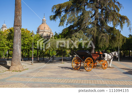 Orange horse carriage parked in front of Alcazar of Jerez de la Frontera, Spain. 111094135